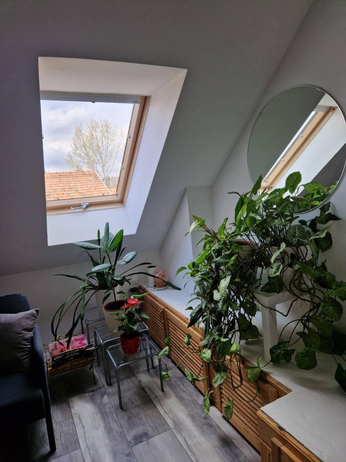 Nefelejcs Vendégház Gödöllő Exterior foto