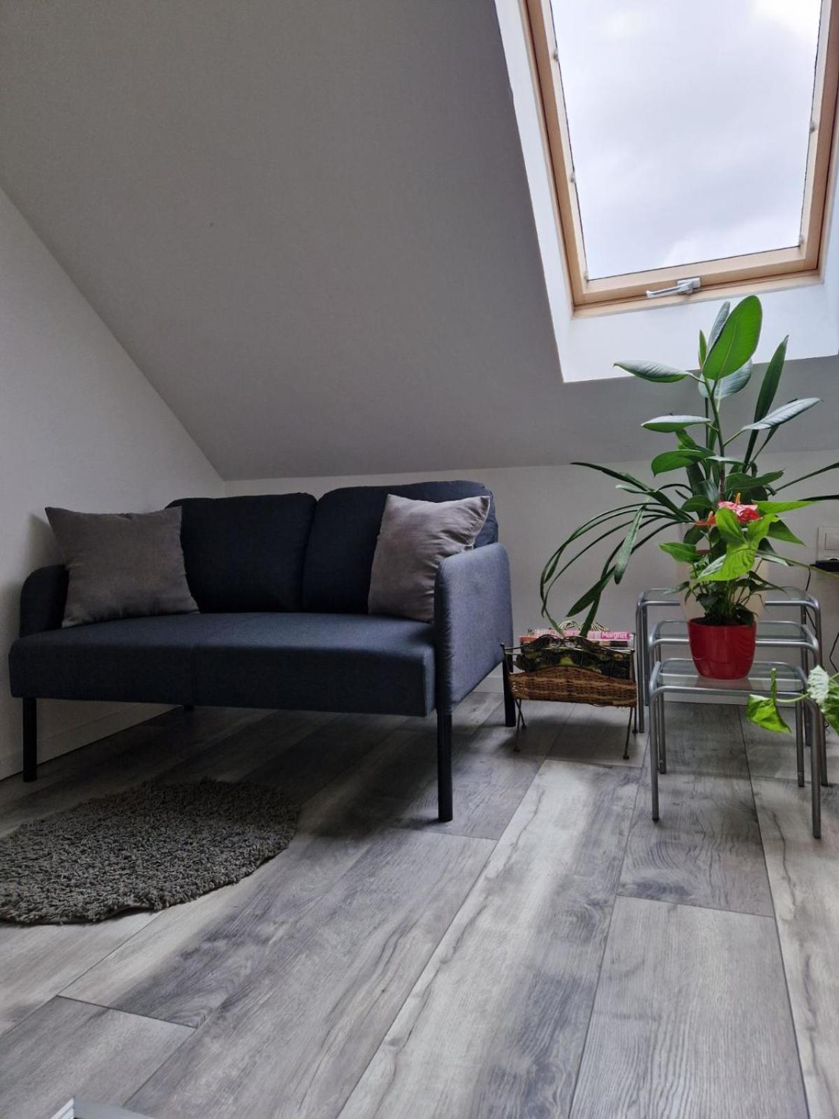 Nefelejcs Vendégház Gödöllő Exterior foto
